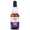 Living Essences White Spider 15ml