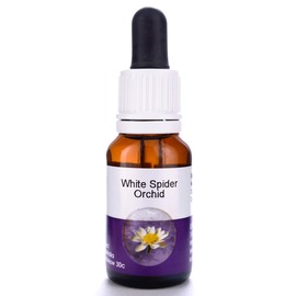 Living Essences White Spider 15ml