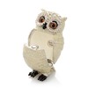 Keren Kopal Silver Owl Trinket Box Decorated with Crystals