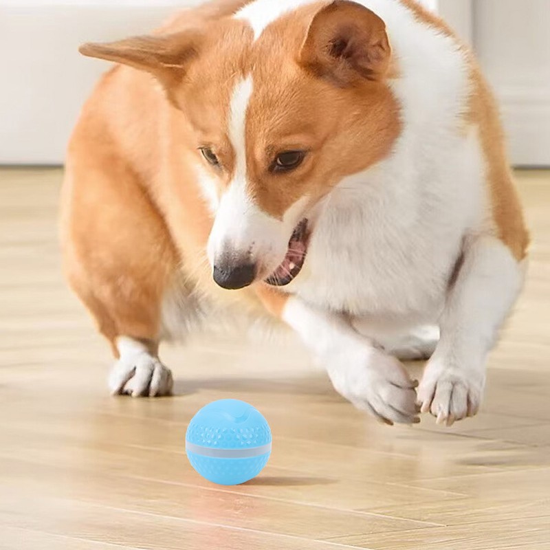 Smart Interactive Dog Ball Toy with LED Lights IP54 Waterproof