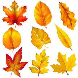 Lucleag 45 PCS Fall Maple Leaves Cutouts for Bulletin Board Decoration, Autumn Leaves Cutouts Fall Leaf Cut Outs for Thanksgiving Fall Autumn Party School Classroom Bulletin Board Decorations