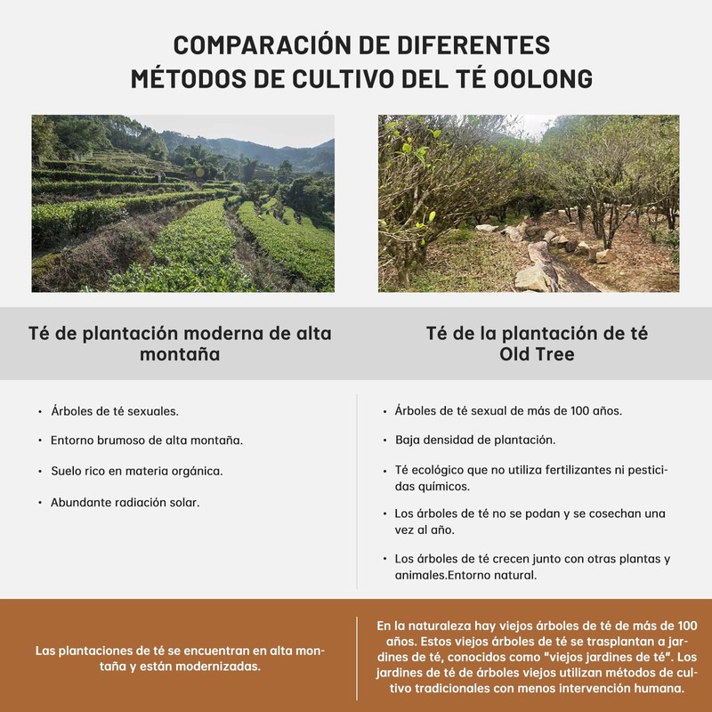 iTeaworld Organic Chinese Loose Leaf Tea Samples - 4 Loose