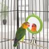 Hypeety Pet Bird Mirror with Bell Interactive Parrot Toy Bird