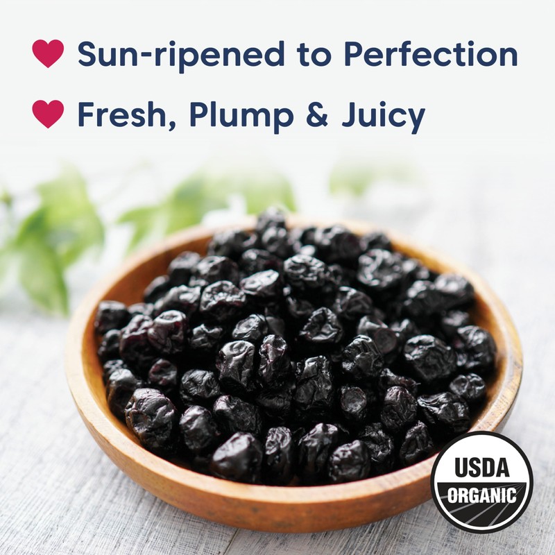 Wilderness Poets, Organic Oregon Blueberries (Sweetened with Organic Apples) -