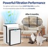 Vital 100S H13 True HEPA Replacement Filter Compatible with LEVOIT
