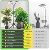 2024 LBW Latest Grow Light for Indoor Plants, 428 LED