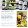 Healing Solutions Breathe Blend Essential Oil - 100% Pure Therapeutic