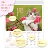 Active Corporation 2025 Calendar, Wall CAT Wall Calendar, 25ACL-02, Begins