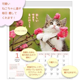 Active Corporation 2025 Calendar, Wall CAT Wall Calendar, 25ACL-02, Begins January 2025