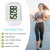 Flintronic Big Screen Pedometer White