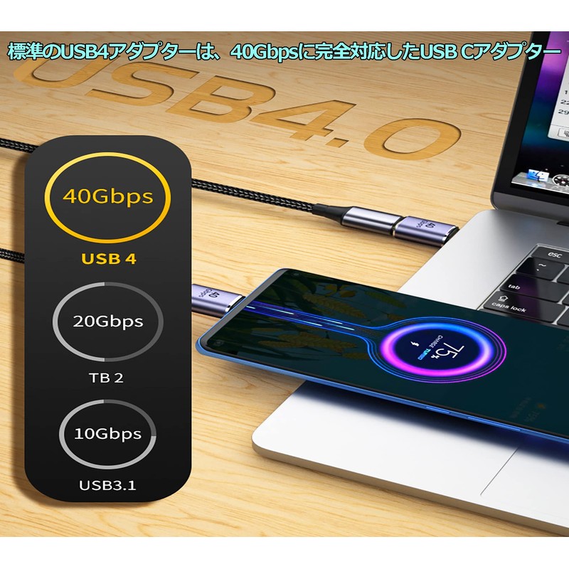 USB Converter Adapter, Type C Converter Adapter, 2 Pack [100W