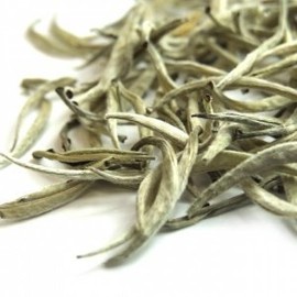 Rare Ceylon Silver Tips Loose Leaf White Tea 25g Taster Pack