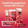 Clorox Scentiva Disinfecting Mist, Grapefruit and Orange Blossom, Refill, 16