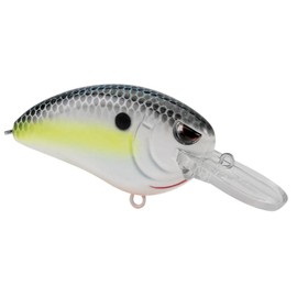 SPRO Fishing SLJMTR50NSD Little John Md Tr 50 Nasty Shad Treble Rb Nsb 5