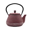 20.3oz Small Cast Iron Teapot, SECHUDO Cast Iron Tea Kettle