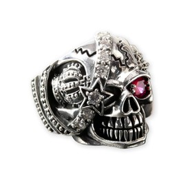 Fly Style Skull Ring - Stainless Steel Men's Ring - Skull Pirate Jewellery, Stainless Steel, Cubic Zirconia