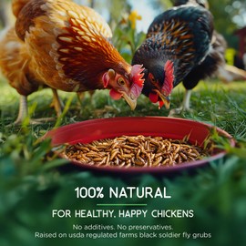 FLYGRUBS 5 lb Dried Black Soldier Fly Larvae - High-Calcium Chicken Treats for Laying Hens and Wild Birds - Nutrient-Rich Mealworm Alternative - Supports Feather Growth and Strong Eggshells