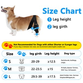 iPalamila Dog Knee Brace, Adjustable Dog Leg Brace, Dog Leg Wound Protector, Dog Leg Warmers for Knee Dislocation, Arthritis, Hip Dysplasia, Cruciate Ligament Injury (with 2 support strips) S