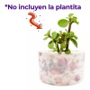 Muna Maceta Mini De Cerámica Esmaltada Suculenta Moteada Cilindro
