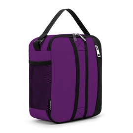 BEIMILY Lunch Box for Men Women Adults,Small Insulated Lunch Bag for Office Work Picnic,Reusable Portable Lunchbox,Soft Cooler Tote Bag(Dark Purple)