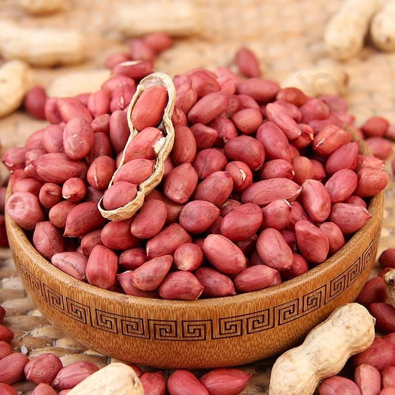 Seeds Spanish Peanut 10 Seeds to Grow Annual Warm-Season Plant