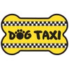 Dog Taxi - Bone-Shaped Magnet - 5.5" x 3.5"