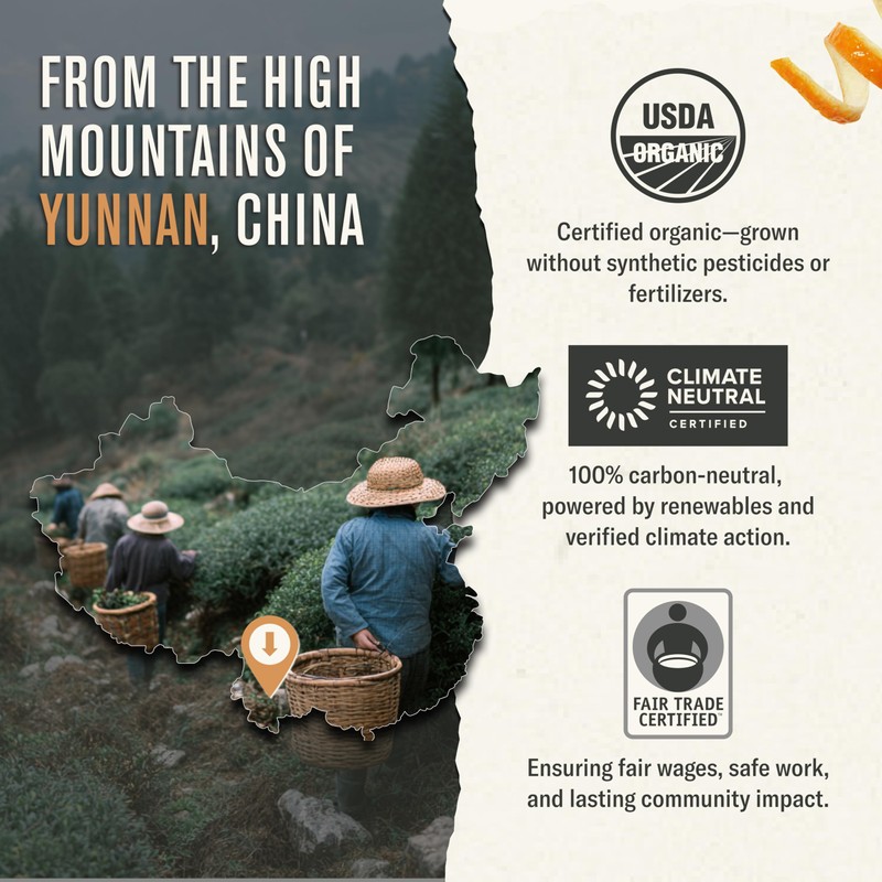 Numi Organic High Mountain Black Iced Tea, 24 Count Gallon