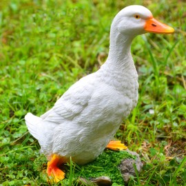 Garden Duck Statue Farm Animal Statue Landscape Sculpture Simulation Duck Resin Statue for Home Garden Yard Pond and Park Decoration