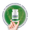 NAIMA Kit 3 Frascos de Citrato de Magnesio 500 mg