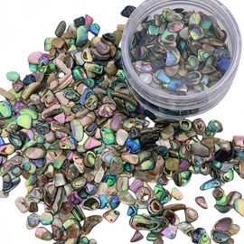 GOMMO Paua Abalone Shell Pieces Inlay Supplies 2 oz for Guitar Wood Inlay, or Woodworkers, Jewelers, Luthiers, Turners, Professionals & Hobbyists (Middle)