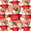 TE-Trend Teddy Bear Teddy Plush Bear Plush Teddy Bear Cuddly