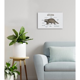 NOGRIT raccoon decor raccoon wall art racoon gifts for women Anatomy of A Raccoon Canvas Wall Art 14×11 racoon Themed Decor For Home Bedroom Living Room Boys Room Nursery Playroom Classroom,raccoon art Prints