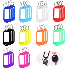 Icyowls 40 Stück Schlüsselanhänger mit beschreibbaren Etiketten, Kunststoff-Schlüsselanhänger in 10 Farben, austauschbar und langlebig