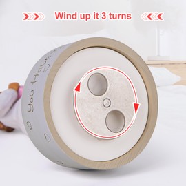 AIDLNS Love Heart Girl Musical Figurine, Music Box for Daughter Girlfriend Sister, Hand-Painted Sculpture Valentine Day Birthday, Touched So Many Hearts