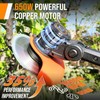 Cordless Weed Wacker Battery Powered Weed Eater with 2 Battery