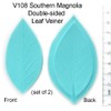 Southern Magnolia Double-sided Leaf Veiners