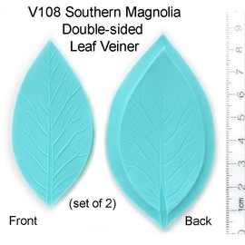 Southern Magnolia Double-sided Leaf Veiners