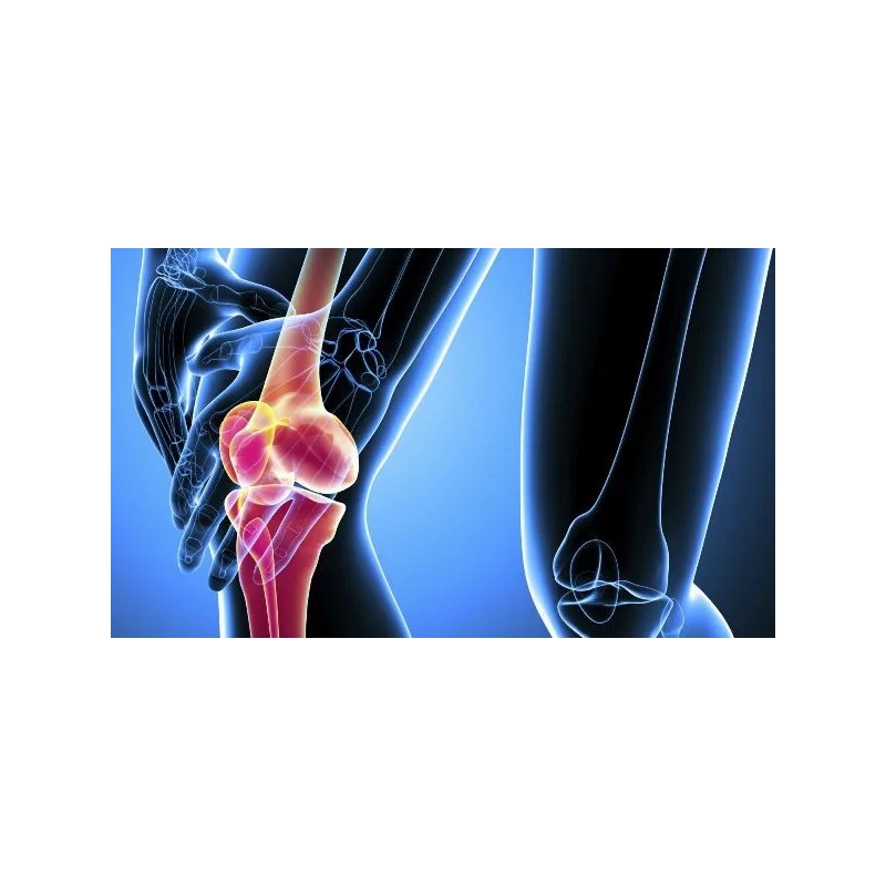 Aceite De Vibora Puro Y Natural 3 Frascos 180ml