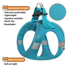 PWOD Dog Harness with Leash Set, No-Pull Step-in Reflective Pet Harness with 1 Leash Clips, Adjustable Soft Padded Easy Walk Dog Vest for Small Medium Large Dogs, Cats(Teal, Large)