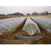 Tsukuba Yamazaki Farm Burdock 100% Ajikan Roasted Burdock Tea (Tea