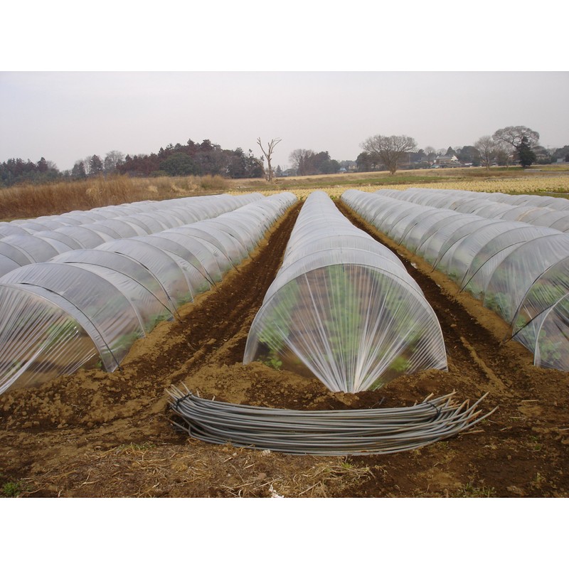 Tsukuba Yamazaki Farm Burdock 100% Ajikan Roasted Burdock Tea (Tea