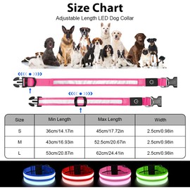 AUAUY Light Up Dog Collar, Type-C Port Charging LED Dog Collar Light, Waterproof Flashing Adjustable Glowing Super Bright Dog Light Up Collar with 3 Glowing Modes for Medium Dogs-Size M-Pink