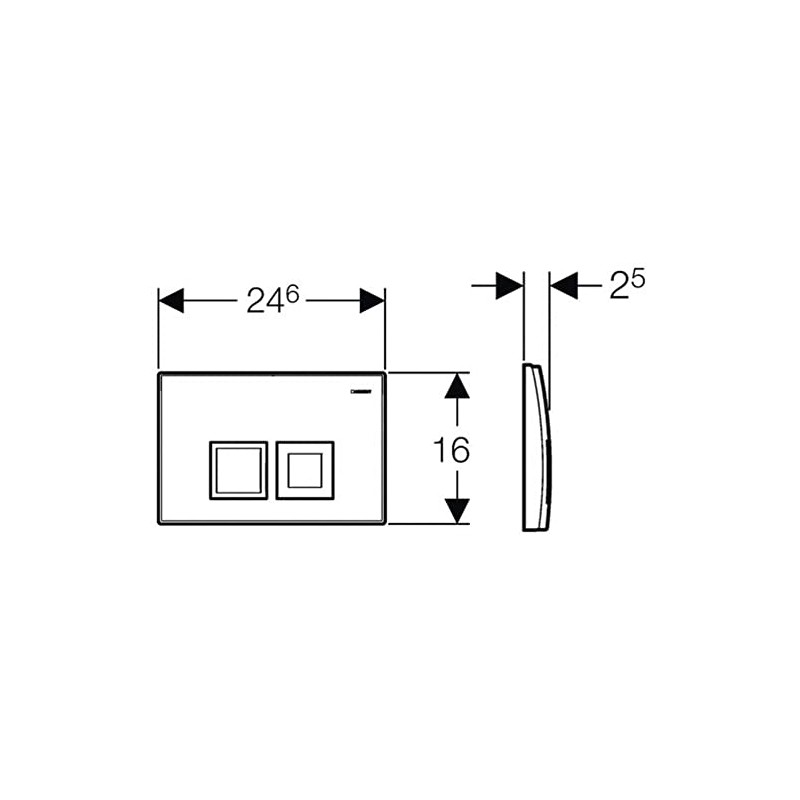 Geberit Delta50 115135111 Actuator Plate for 2 Flushes of Different
