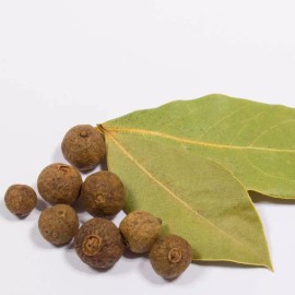 NY Herb Shop WHOLESALE!! Dried Pimento Leaf (Pimenta) - Pimento diocia Pimento Leaves - 1lb