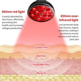 Aumtrly Red Light Therapy Lamp with Adjustable Stand, Red Light Therapy Bulb for Face and Body Use, 660nm Red Light and 850nm Near Infrared Light Combo, Infrared Light Therapy Device at Home