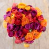 Eden Brothers Ranunculus Bulbs - Passion Mix