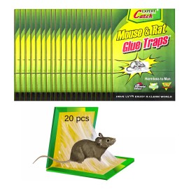 CATCH EXPERT Trampa Pegajosa Grande Ratón Plegable Y Aroma Atrayente 20pz