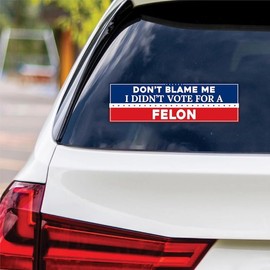 Don't Blame Me I Didn't Vote for A Felon Vinyl Sticker, Resist Hate, Anti-Trump, Resist Racism, Resist Fascism Car Bumper Sticker, VP14006-10" x 3"