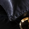 Holawakaka Solid Satin Silk Like Quilt Set Luxury Ultra Soft