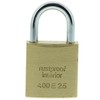Burg-Wächter 6121 Magno 400 E 25 SB Padlock & Hasp